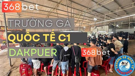 [LIVE] Trường Gà Đắk Puer 888 28/08/2024 .